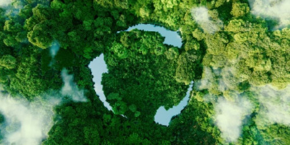 img-consumidores-sustentabilidade-site-disconts-01a