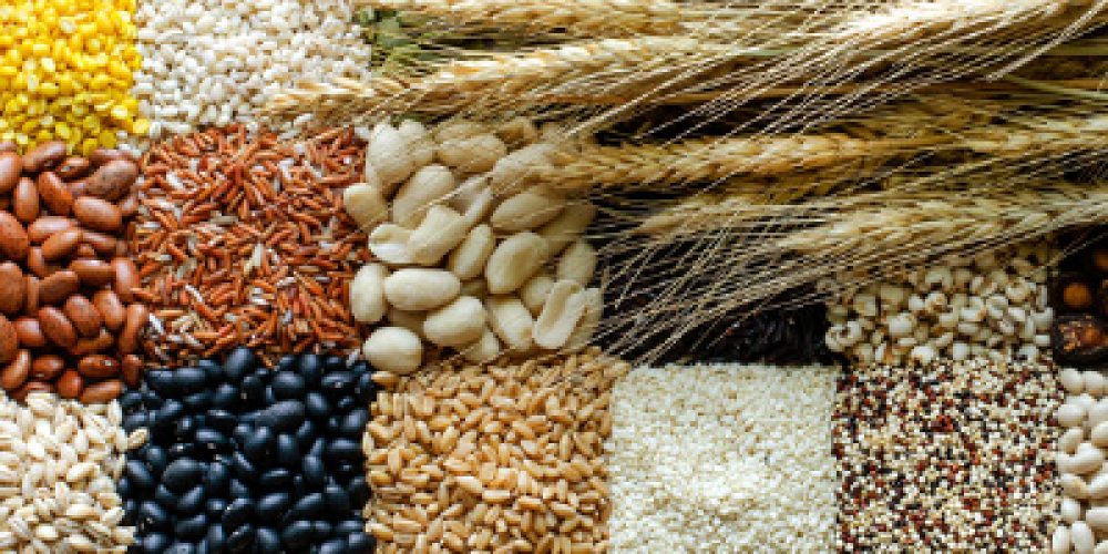 img-nosso-objetivos-prevencao-1-site-disconts-01a